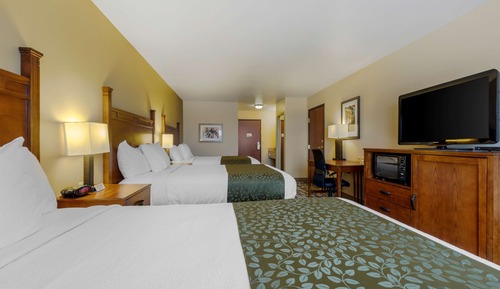 Standard Room, Multiple Beds, Non Smoking