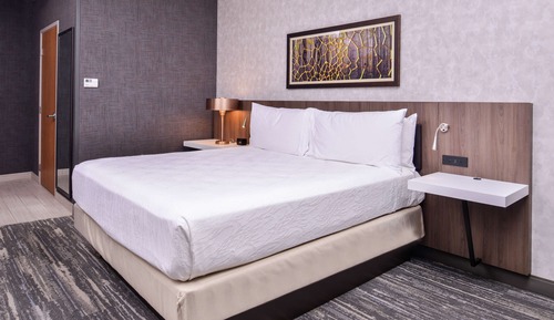 Room, 1 King Bed, Accessible, Bathtub (Mobility & Hearing)