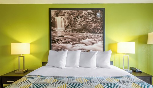 Deluxe Room, 1 Queen Bed, Non Smoking, Refrigerator & Microwave