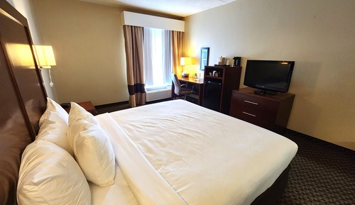 Room, 1 King Bed, Accessible, Non Smoking