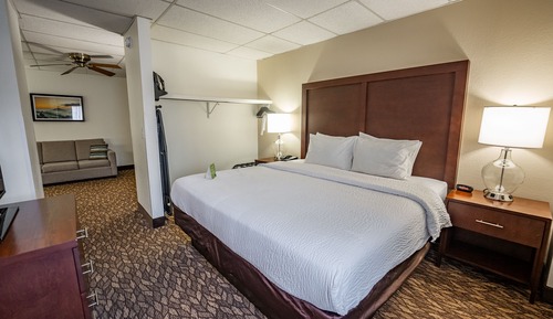 Deluxe Suite, 1 King Bed with Sofa bed