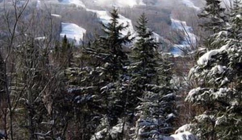 Premier Townhome, 5 Bedrooms, Mountain View