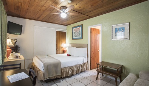Standard Room, 1 Queen Bed with Sofa bed
