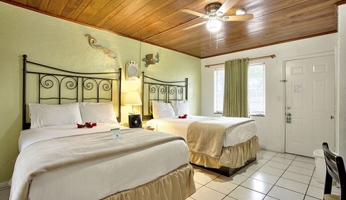 Standard Room, 2 Double Beds