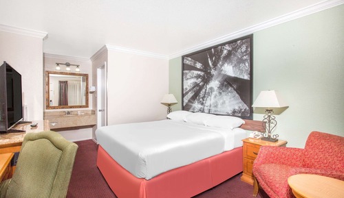 Standard Single Room, 1 Queen Bed