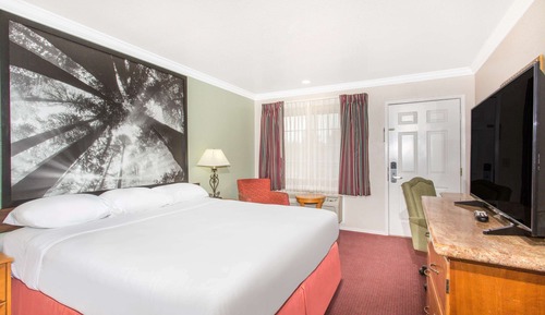 Standard Room, 1 King Bed