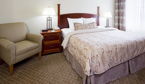 Suite, 1 Bedroom, Accessible, Kitchen (Roll-In Shower)