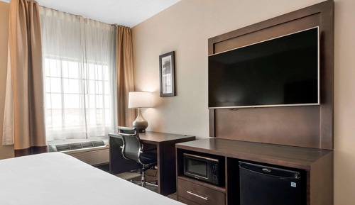 Standard Room, 1 King Bed, Non Smoking