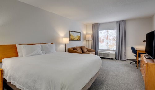 Room, 1 King Bed with Sofa bed