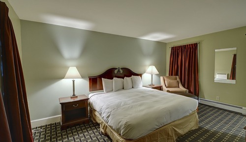 Suite, 1 King Bed with Sofa bed