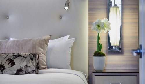 Penthouse (Suite)