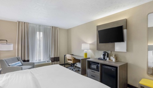 Standard Room, 1 King Bed, Accessible, Non Smoking