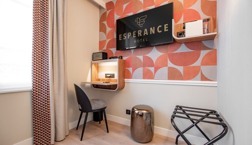 Deluxe Double or Twin Room