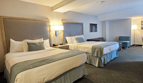 Studio Guest Room, 2 Queen beds & Sofa bed