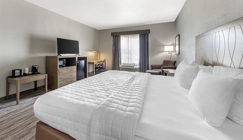 Standard Room, 1 King Bed, Accessible, Non Smoking