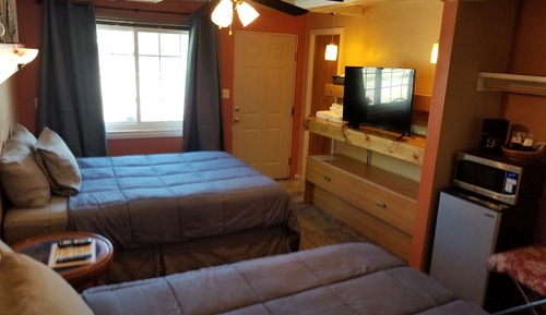 Comfort Single Room, 2 Queen Beds, Connecting Rooms, Ground Floor