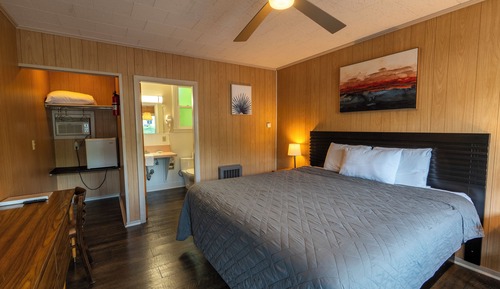 Standard Room, 1 King Bed