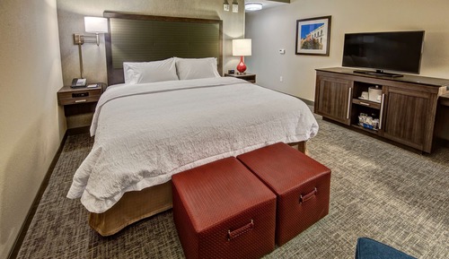Room, 1 King Bed, Refrigerator