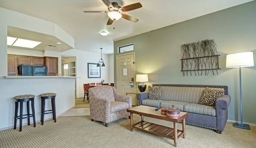 Standard Condo, 1 Bedroom, Kitchen