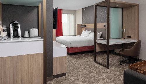 Studio Suite, 1 King Bed with Sofa bed, River View (Hearing Accessible)