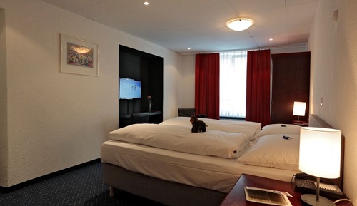 Budget Double Room