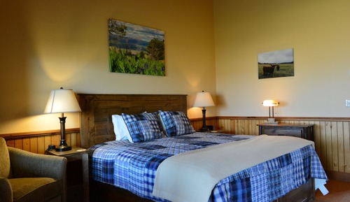 Deluxe Single Room, 1 King Bed