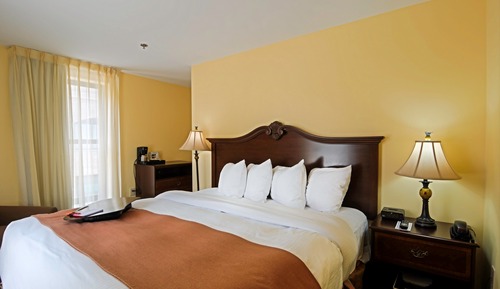 Suite, 1 Queen Bed with Sofa bed