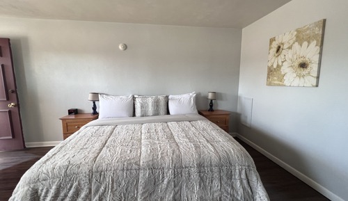 Basic Single Room, 1 King Bed