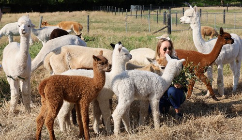 Family Cottage South American