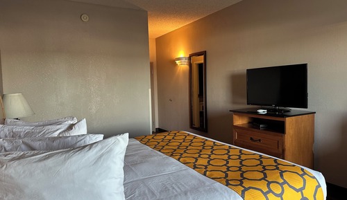 Room, 1 King Bed, Non Smoking (Pet-Friendly)