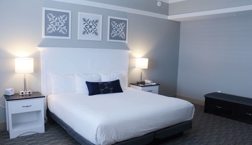 Standard Room, 1 King Bed with Sofa bed