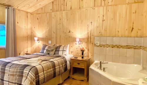 Traditional Cabin, 1 Queen Bed, Hot Tub, Lake View