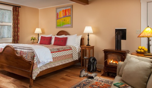 Wildflower Fireplace Cottage Room