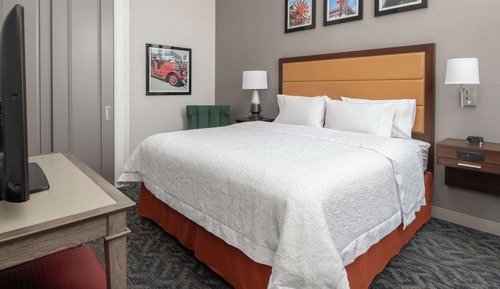 Studio, 1 King Bed, Refrigerator