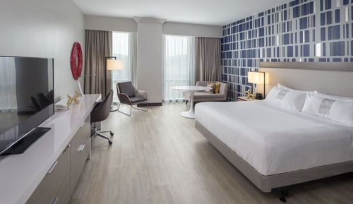 Room, 1 King Bed (Mobility/Hearing Access, Roll-In Shwr)