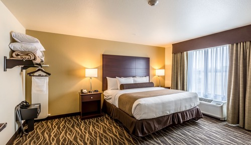 Suite, 1 King Bed with Sofa bed, Non Smoking