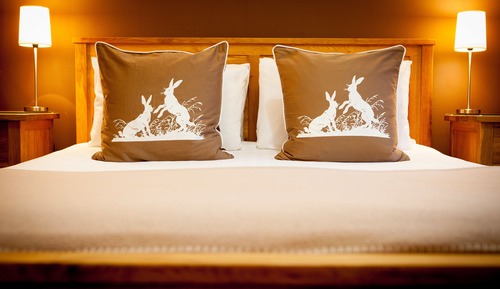 Large Standard Comfy (Room 7)