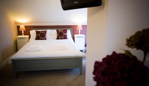 Super Comfy (Room 10)