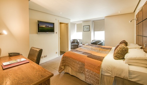 Deluxe Double or Twin Room