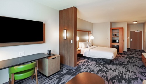 Suite, 1 King Bed with Sofa bed, Roll-in Shower