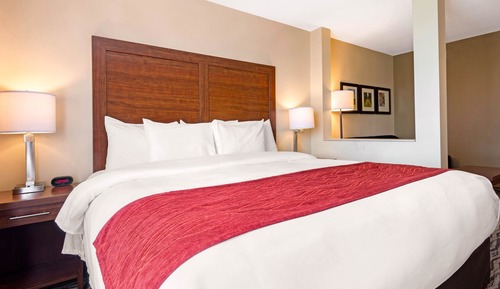 Suite, 1 King Bed with Sofa bed, Non Smoking