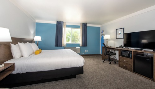 Room, 1 King Bed with Sofa bed, Ground Floor