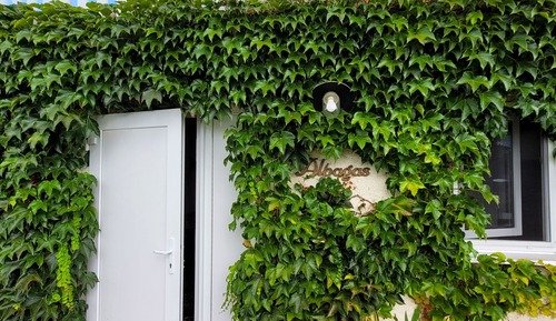 Suite, Private Bathroom (Alpagas vue)