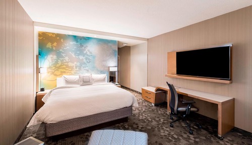 Room, 1 King Bed with Sofa bed (Mobility Accessible, Roll-in Shower)