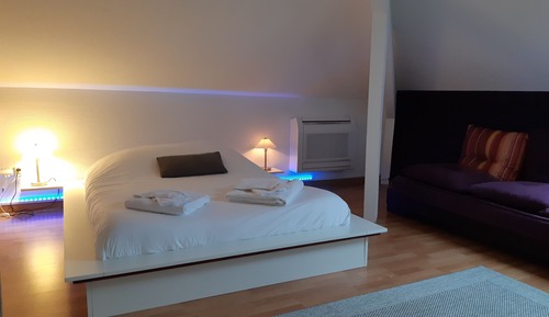 Business Double Room