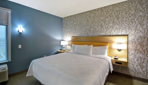 Suite, 1 King Bed, Accessible (Mobility & Hearing, Roll-in Shower)