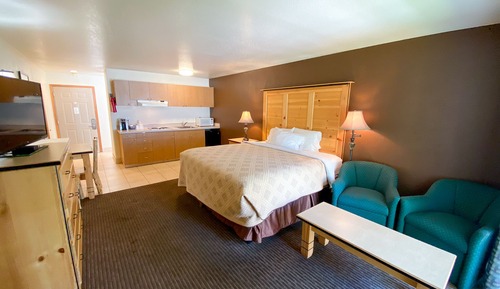 Room, 1 King Bed, Kitchenette NO PETS