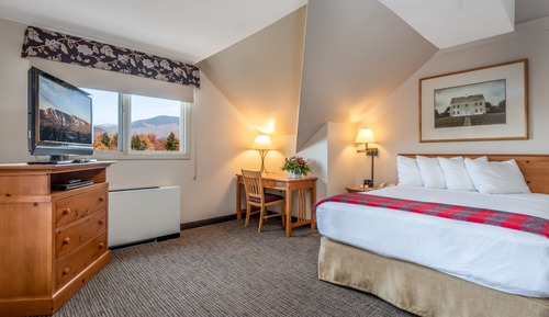 Suite, 1 Queen Bed with Sofa bed