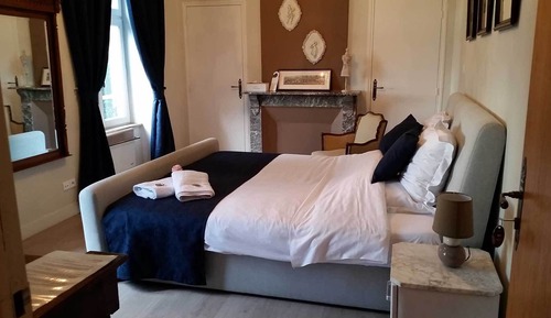 Panoramic Double Room, 1 King Bed, River View (1)