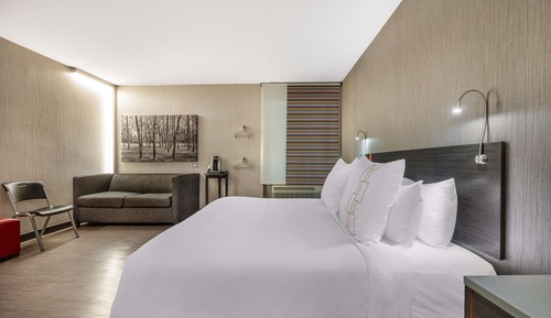 Standard Room, 1 King Bed, Accessible, Non Smoking (with Sofabed)
